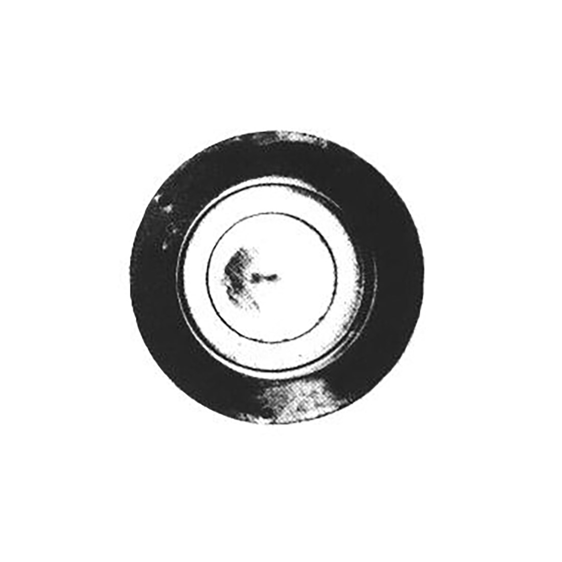 SP.OTT.FOR.CR. TIPO IGNIS F. RAP - C2534 - immagine 1